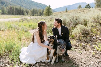 Colorado elopement couple taking portraits with their dog in the mountains of Crested Butte