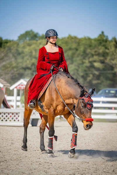 Comparison of left side of horse before and after bodywork
