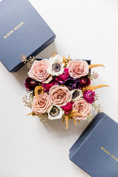 Gillian Paterson Favorites-0002