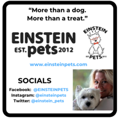 EinsteinPets