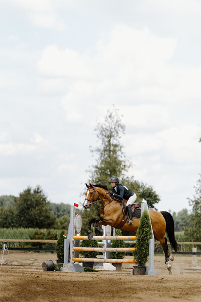 a bay horse with an english rider jumping a grey and orange jump at an Ontario Trillium show captured by a equine private client photographer based in Ontario