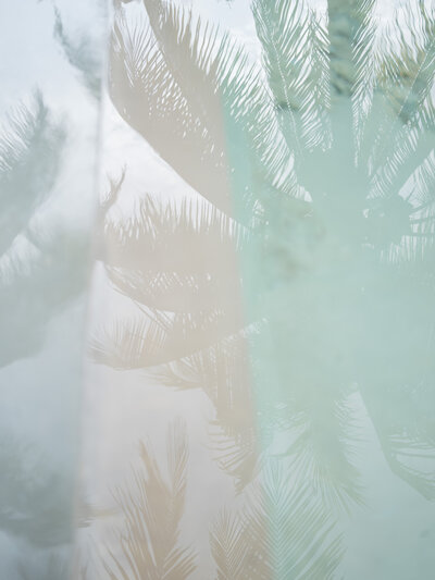 Palm Beach by Corbin Gurkin