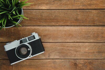 camera on wood planks sitting next to green succulent plant