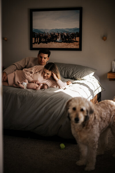 Cozy Morning Family Lifestyle Session - Champaign, IL
