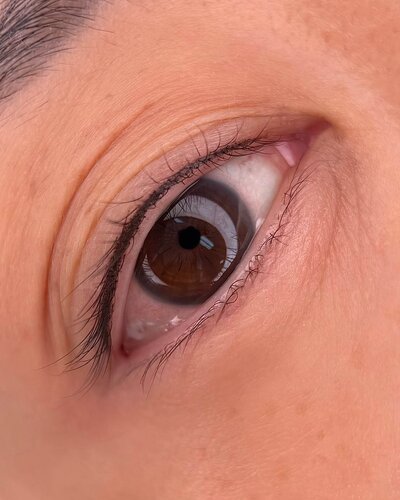 Lash Line Enhancement New York