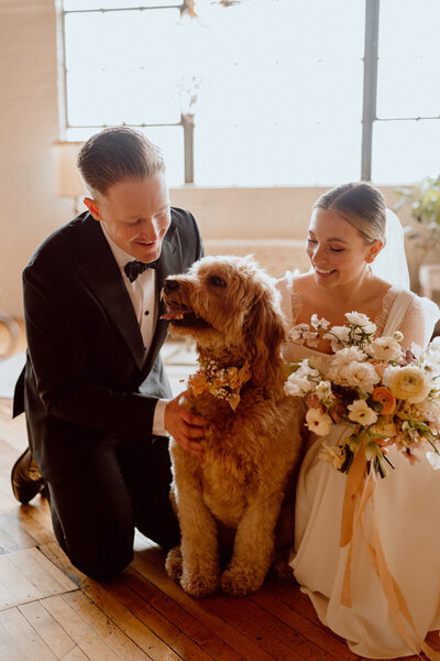 bride and groom smiling with dog