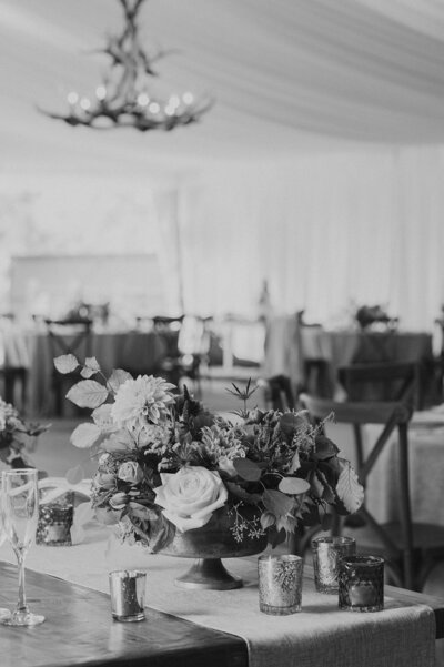 Wedding ceremony at Diamond Cross Ranch with Groom reading vows and photographed by Foxtails Photography