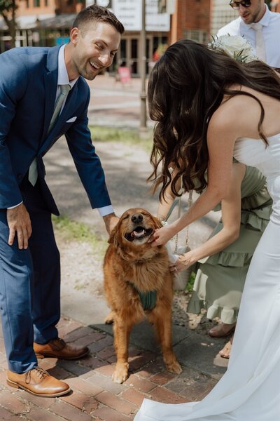 bride and groom petting their happy golden retriever on their wedding day