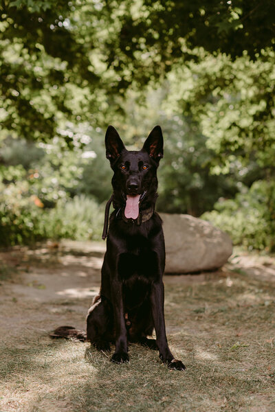 Mélissa+Brooke_Maternity_DanicaOlivaPhotos_8_websize