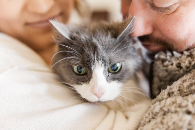 Mykela-Keith-Pet-Session-November-20-2022-25