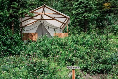 A light colored luxury canvas glamping tent and its wooden deck are tucked into the trees at the top of a hill near Matanuska Glacier.    In front of it is a hillside of pink and purple wildflowers, a beautiful welcome for the couple arriving to end their glacier adventure elopement day.  