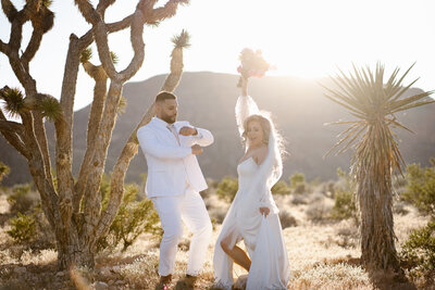 Couple elopes in Las Vegas desert