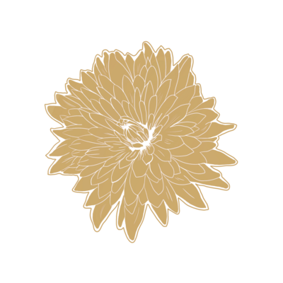 gold illustration of a flower with many small petals