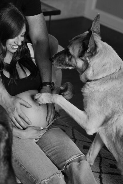 Maternity session with their dog