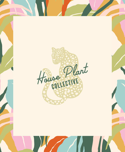 House Plant Collective logo mark on a cream box on top of a colorful patterned background