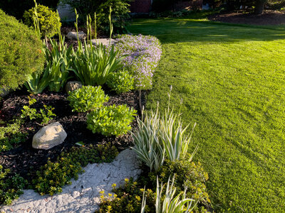 A spacious patio designed for entertaining, complete with outdoor seating, vibrant landscaping, and drought-tolerant greenery perfect for Texas families.