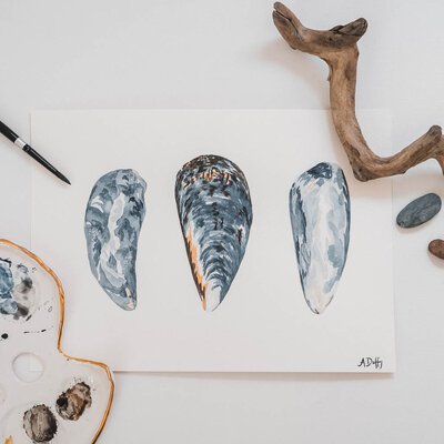 Watercolor painting of three mussel shells by Pacific North