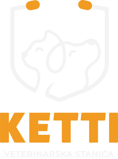 Ketti logo