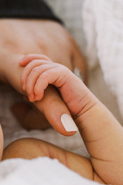 mckinney baby photographer