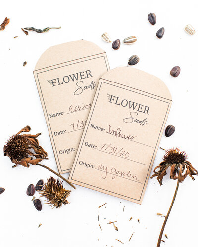 flower seed packets template save your seeds- Allison Jeffers Home 3