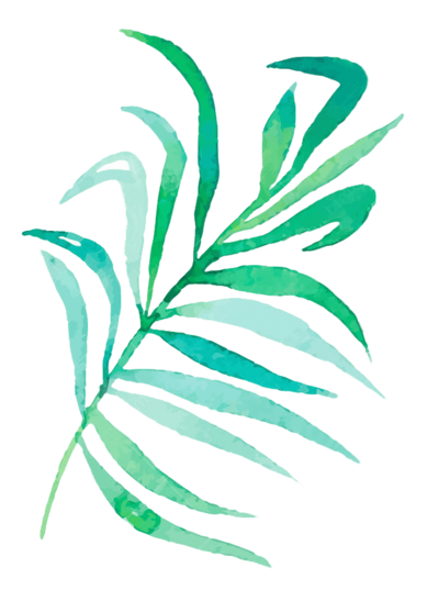 ColourfulCarla-Nutiva-Palm