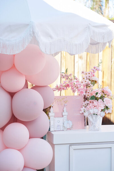MAGICAL -PRINCESS-THEME-BRITHDAY-PHOTO