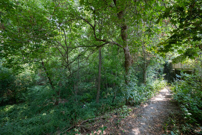 400 Wickham trails (1)