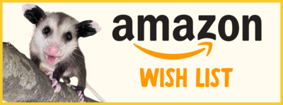 Image of a juvenile virginia opossum climbing a log while looking at the camera. Its mouth is open as if smiling. The Amazon logo is shown above the words "Wish List." Clicking this image opens up RWS's wish list on Amazon.com