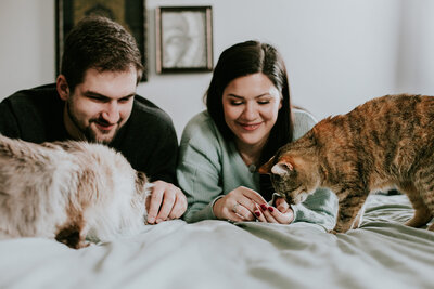 A couple playing with their cats during their engagement session at home in Winnipeg