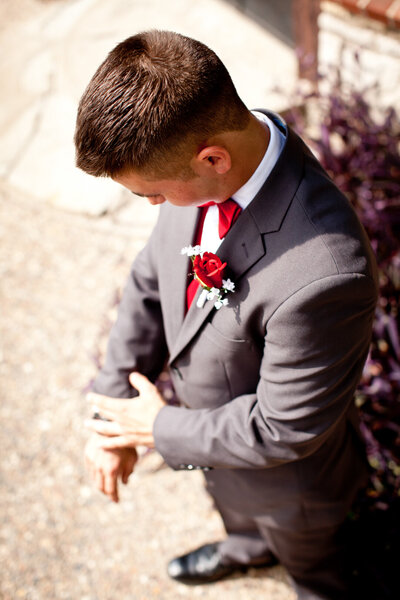 Wedding Photographer Jefferson County - St. louis - High Ridge Wedding portrait photographer Bee Tree park