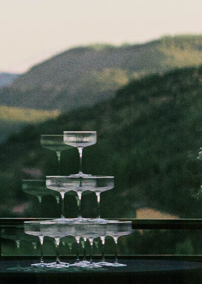 ASPEN RECEPTION  3-23