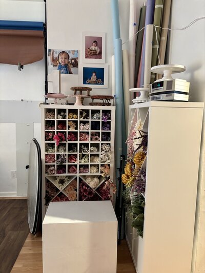 The_Baby_Photog_Home_Studio_Space_5399