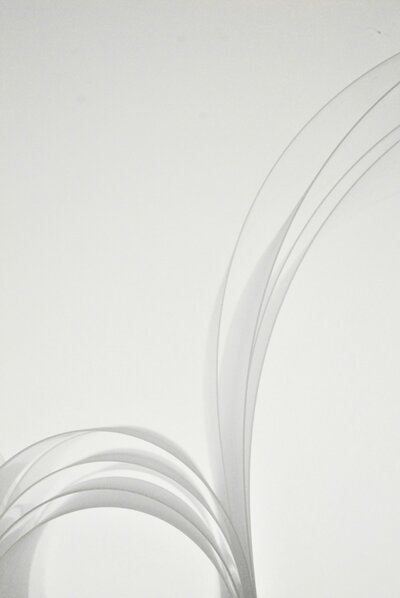 Minimal transparent curved shapes on a white background symbolizing clarity emerging from organizational diagnostics.