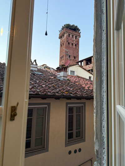 View of the Guinigi Tower from the Guinigi Apartment in Lucca, Italy