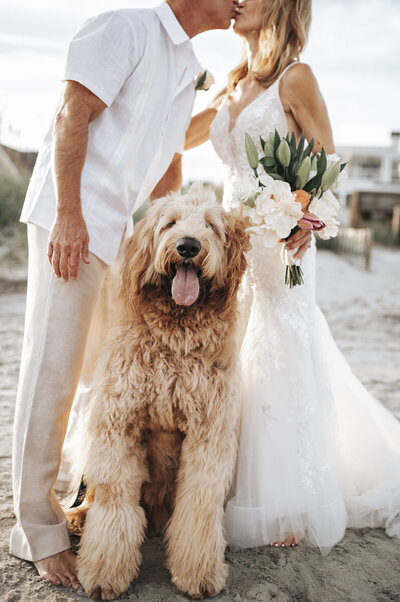 charleston beach wedding with dog