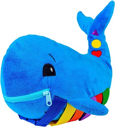 Buckle Toy