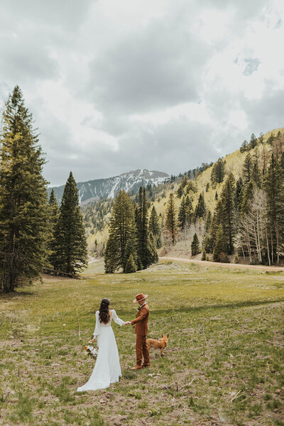 La Plata Canyon Wedding