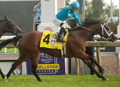 Bay racehorse Starship Jubilee winning the Woodbine Mile.