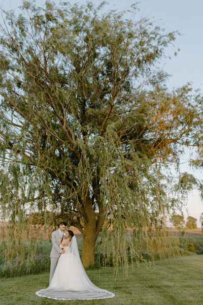 Willow tree wedding portraits Carmel weddings

