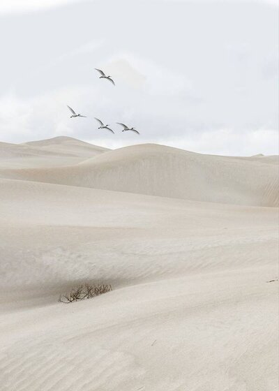 Minimalist sand dunes under a soft cloudy sky with a flock of birds in flight — serene travel and nature lifestyle aesthetic