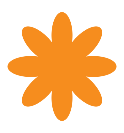Orange 8 petal flower