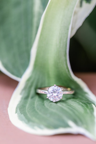 jessica_chris_engaged-2946