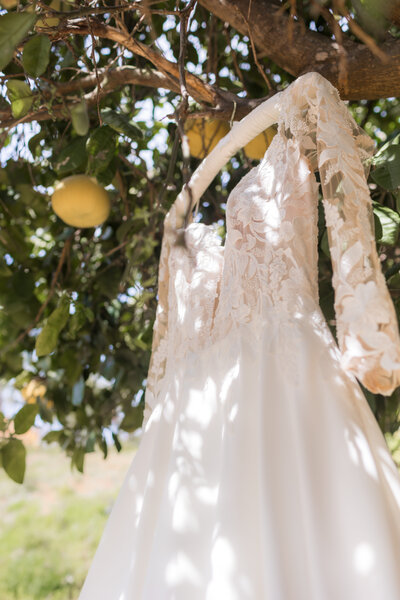 wedding-dress-hung-from-lemon-tree-in-Carlsbad
