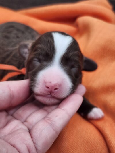 35d5ecc0-8691-4593-aca1-a08b7420b3b8