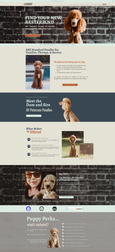 Peterson Poodles website created by boss Breeders