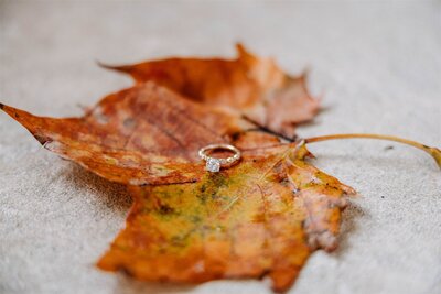 The groom caresses his brides face in front of the glass chapel leaning in for a kiss