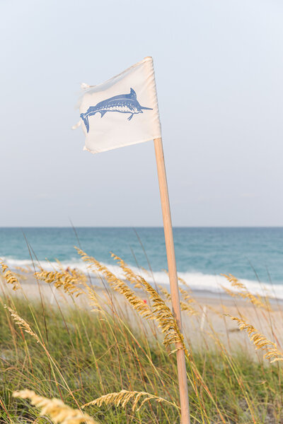 candid-family-session-wrightsville-beach-0576