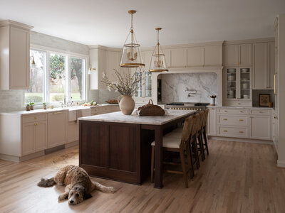 Sousa Place project feature image of a kitchen countertop with dog resting on floor
