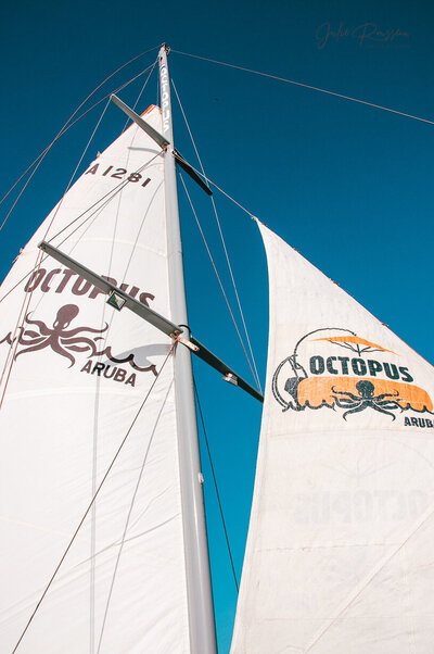 wild exposure studios  - aruba
