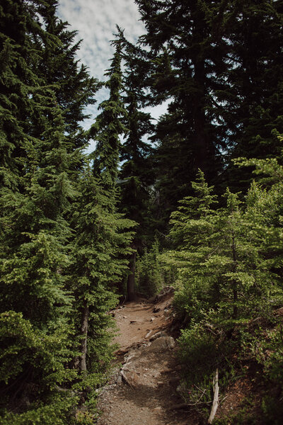 PNW Elopement Photographer